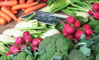 Erntefrisches Gem�se