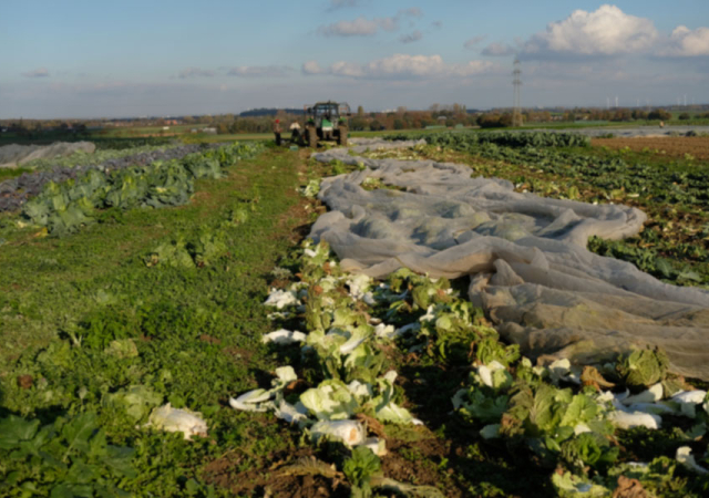 Von der Kamphausener Höhe geht der Blick bis ins Rheintal.