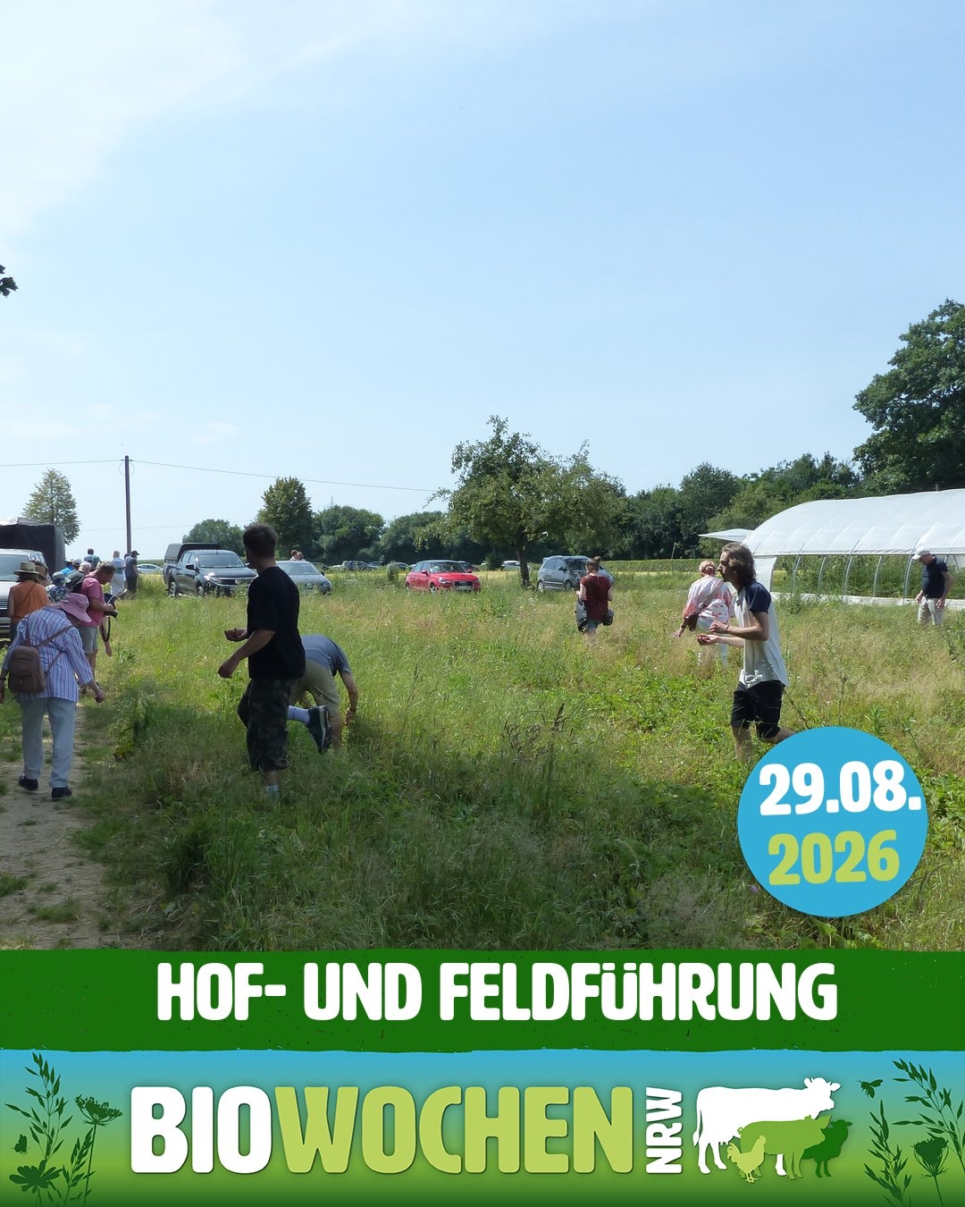 29.08.2026